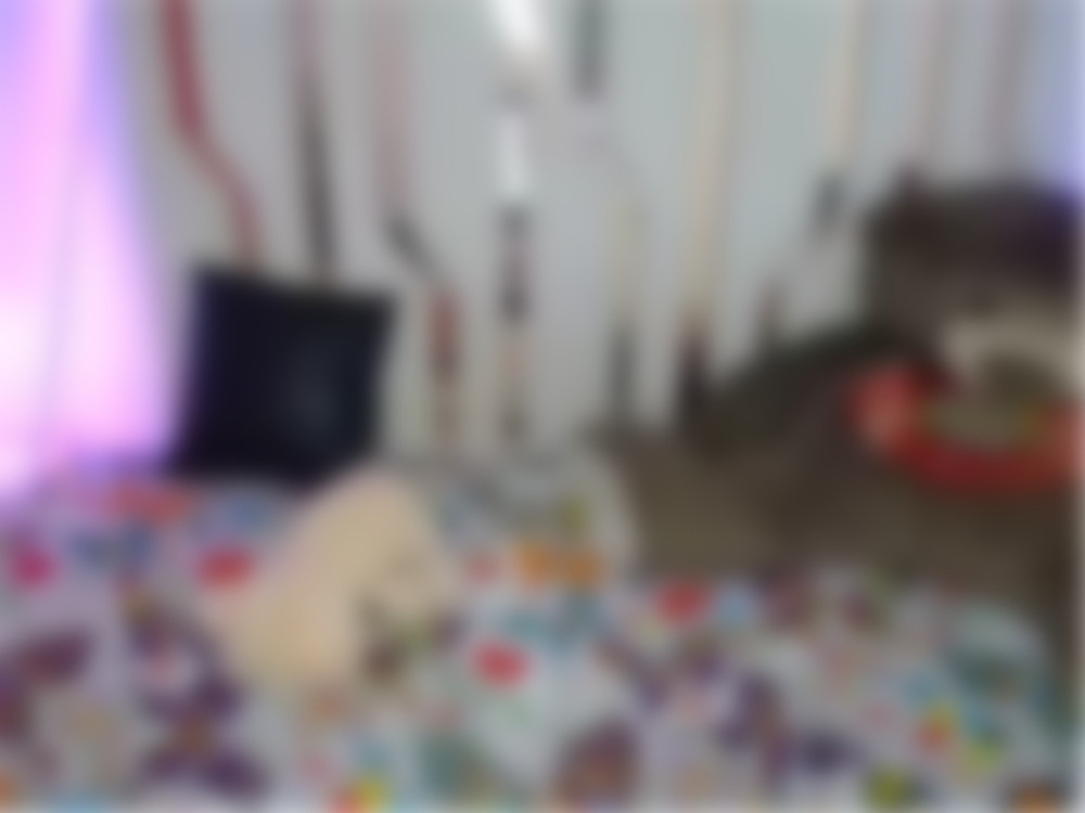 видео 0034959